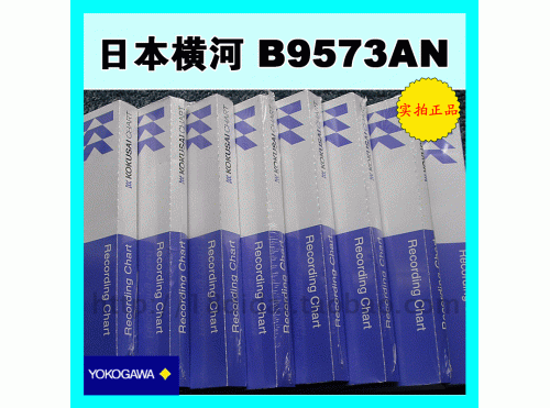 YOKOGAWA 橫河記錄紙B9573AN