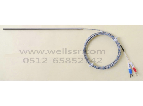 WT25 直接出線桿式  高精度熱電偶