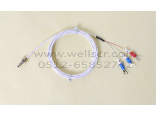 WR11 螺帽式（螺釘式） 高精度熱電阻