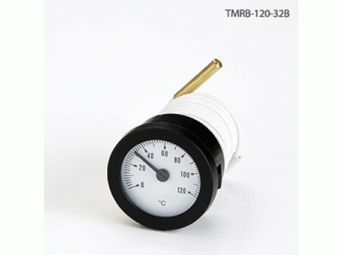 TMRB - Series指示溫控